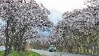 takano2-20250507182033.jpg
