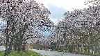 takano2-20250507184030.jpg