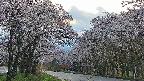 takano2-20250507185031.jpg