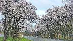 takano2-20250508050031.jpg