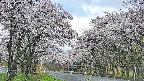 takano2-20250508052030.jpg