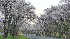 takano2-20250508053029.jpg