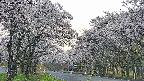 takano2-20250508054030.jpg