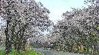 takano2-20250508061029.jpg