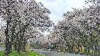 takano2-20250508062030.jpg