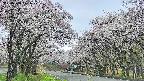 takano2-20250508071029.jpg