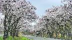 takano2-20250508073030.jpg