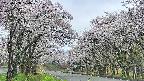 takano2-20250508074030.jpg