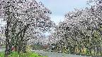 takano2-20250508075031.jpg
