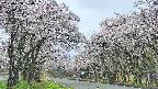 takano2-20250508080031.jpg