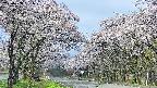 takano2-20250508081031.jpg