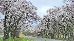 takano2-20250508082032.jpg
