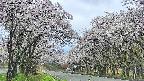takano2-20250508083030.jpg