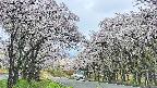 takano2-20250508084030.jpg