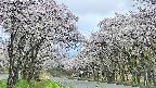 takano2-20250508085031.jpg
