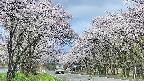 takano2-20250508091031.jpg