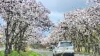 takano2-20250508093030.jpg