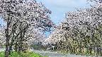 takano2-20250508094029.jpg