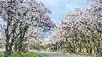 takano2-20250508100031.jpg