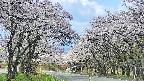 takano2-20250508101030.jpg