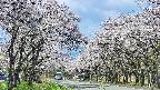 takano2-20250508103029.jpg