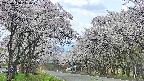takano2-20250508111031.jpg