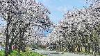 takano2-20250508112030.jpg