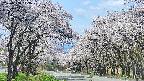 takano2-20250508113031.jpg