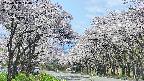 takano2-20250508114031.jpg
