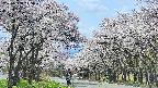 takano2-20250508115029.jpg