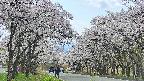 takano2-20250508121031.jpg