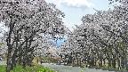 takano2-20250508131029.jpg