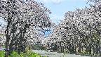 takano2-20250508132031.jpg