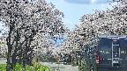 takano2-20250508134030.jpg