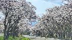 takano2-20250508140030.jpg
