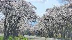takano2-20250508141031.jpg