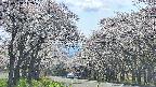 takano2-20250508142030.jpg