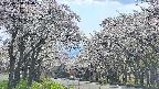 takano2-20250508144029.jpg