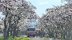 takano2-20250508151030.jpg