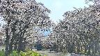 takano2-20250508152030.jpg
