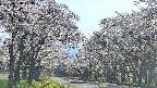 takano2-20250508153030.jpg