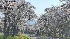 takano2-20250508154031.jpg