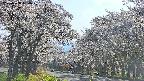 takano2-20250508160029.jpg