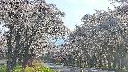 takano2-20250508161029.jpg