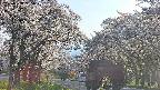 takano2-20250508165029.jpg