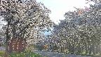takano2-20250508170031.jpg
