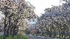 takano2-20250508171032.jpg