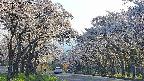 takano2-20250508172030.jpg