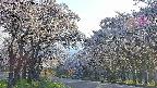 takano2-20250508173030.jpg