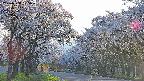 takano2-20250508175030.jpg